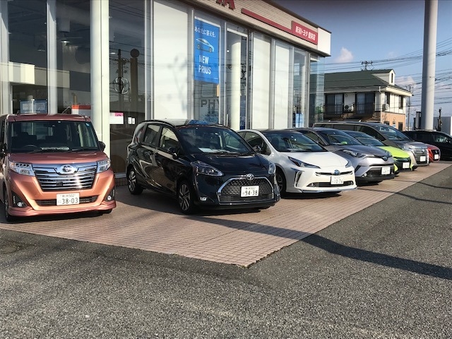 試乗車いろいろあります