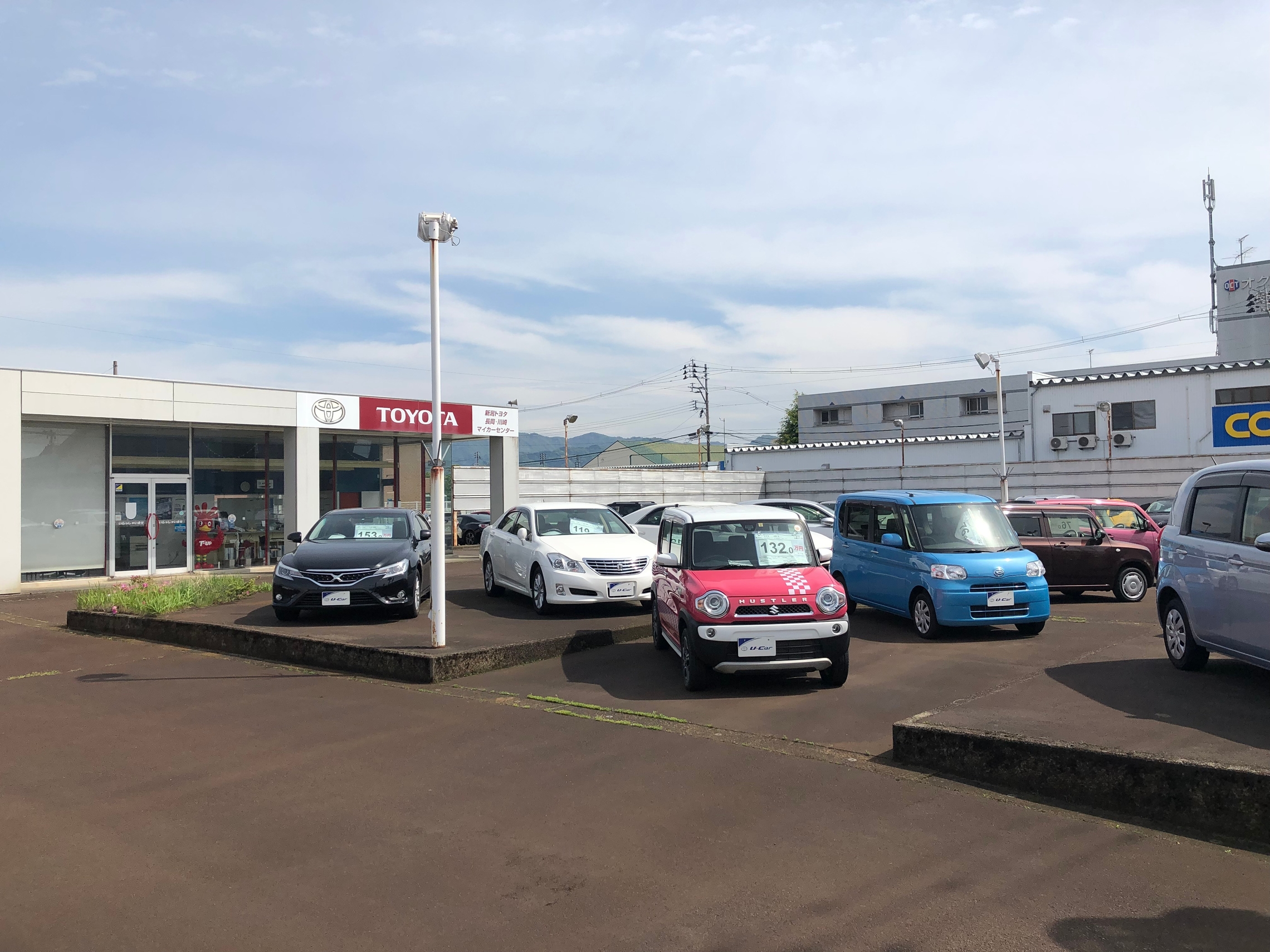 中古車もお任せください