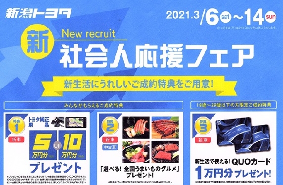 ✨* NEWフェア *✨